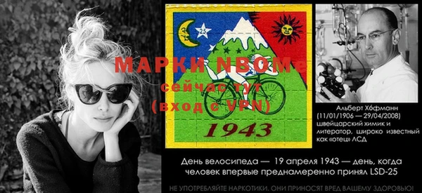 крисы Володарск