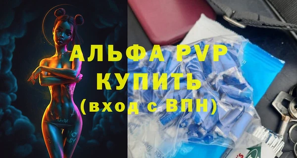 амф Верея